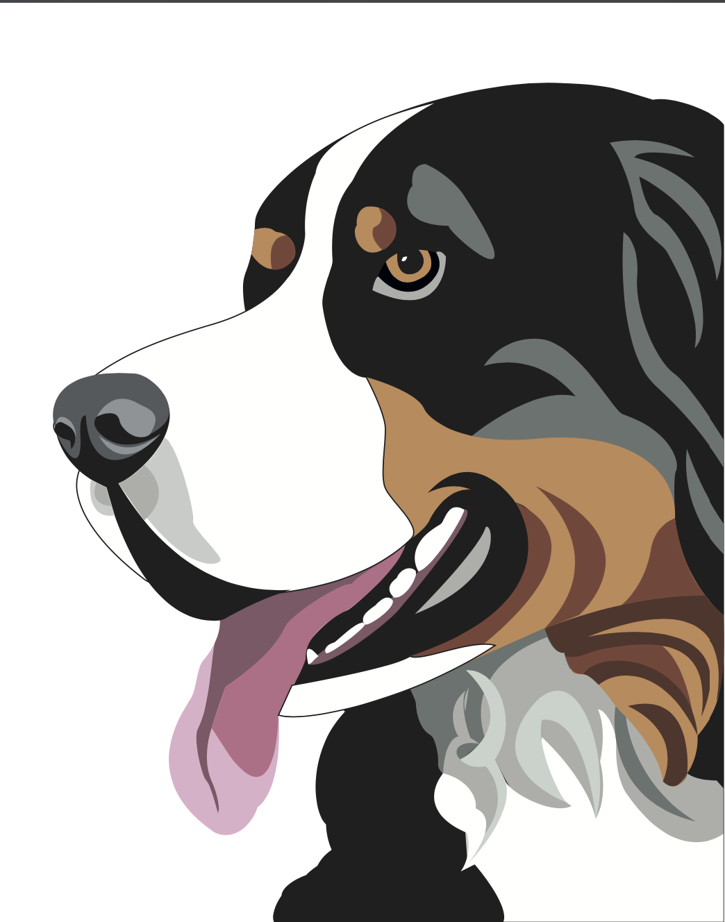 Dessin vectoriel d'un bouvier bernois